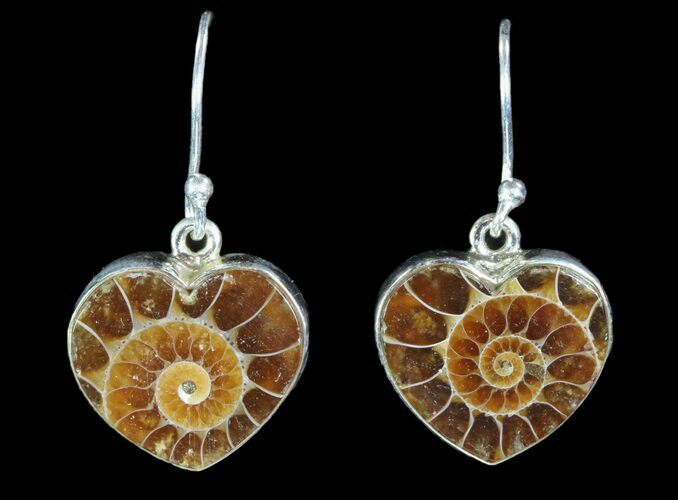 Heart Shaped Fossil Ammonite Earrings - Sterling Silver #81628
